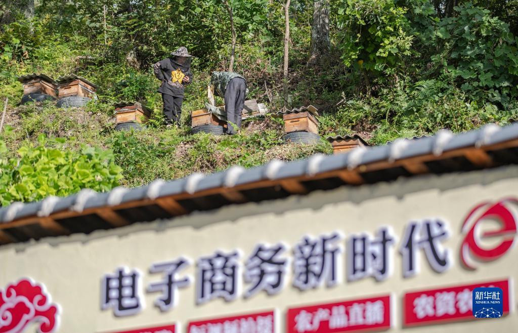 白菜视频网